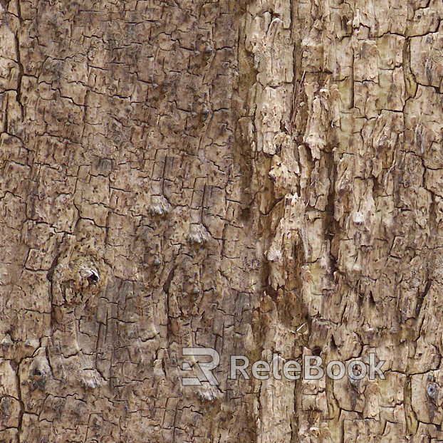 bark texture