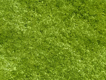 granite dark green granite 3d model