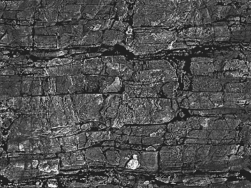 Black and white relief texture (ID:ffaeh385966)