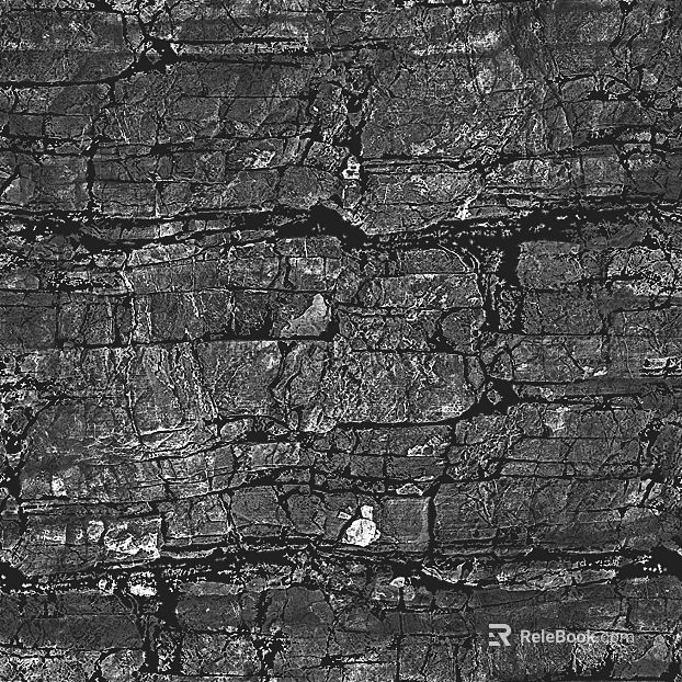 Black and white relief texture