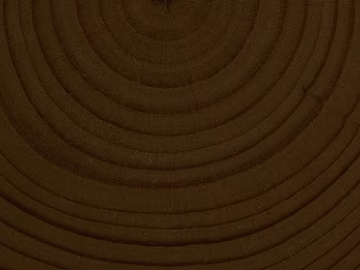 annual rings texture (ID:ffaag61538)
