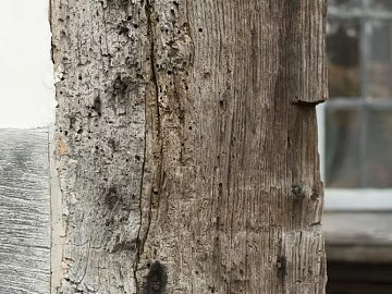 old wood texture (ID:ffagg80534)