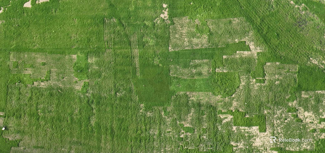 turf green space texture