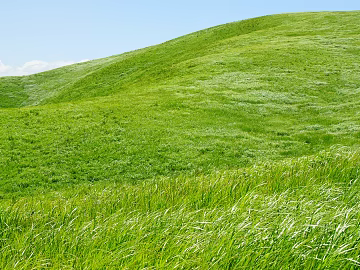 wild scenery natural scenery texture (ID:ffach575875)