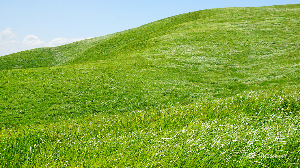 wild scenery natural scenery texture