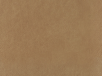 fine grain leather texture (ID:ffacg92870)