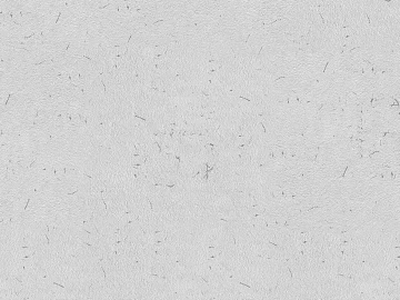 Mud texture (ID:ffadf9608)