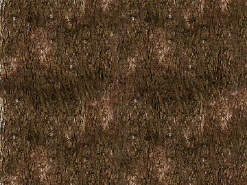 New Chinese brown Bark texture (ID:ffach589303)