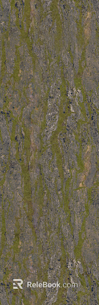 bark texture