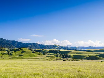 Beautiful prairie texture (ID:ffach979980)