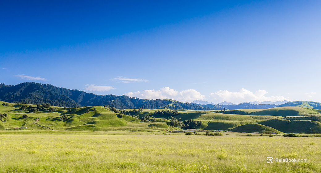 Beautiful prairie texture