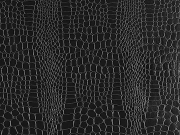 animal skin texture (ID:ffaeg63129)