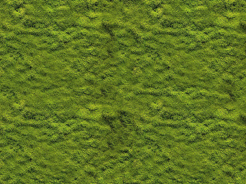 moss texture (ID:ffaag76342)