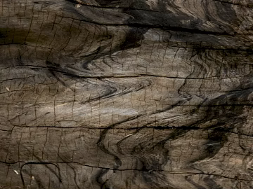 old wood black old wood texture (ID:ffacg58915)