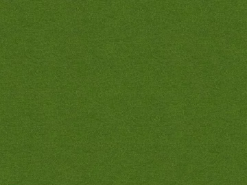 Turf texture (ID:ffabf5593)