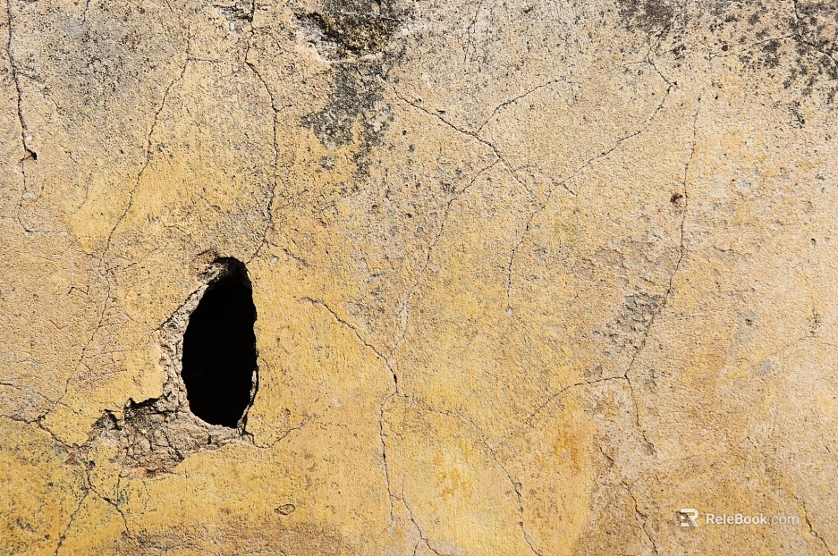 Mud texture
