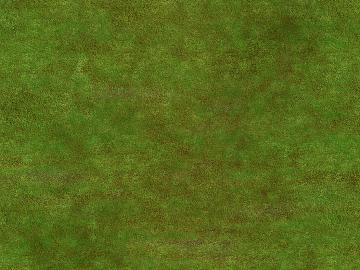 moss texture (ID:ffaif3155)