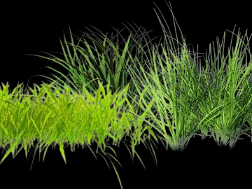 Green grass turf outdoor flooring texture (ID:ffaeh321559)