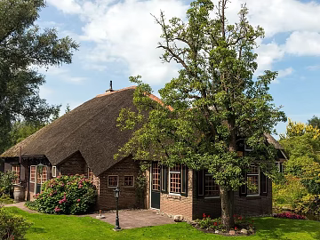 Residential Exterior texture (ID:ffajg62186)