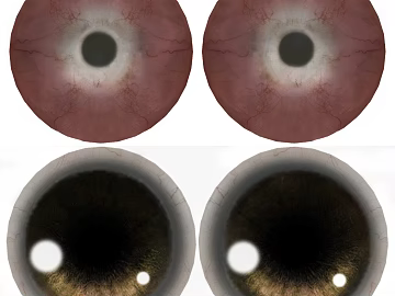 Eyes texture (ID:ffacg25815)