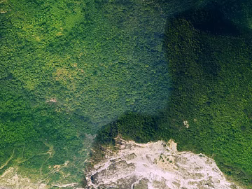 Emerald Green Mountain Forest Wild Natural Exterior texture (ID:ffaeh396439)