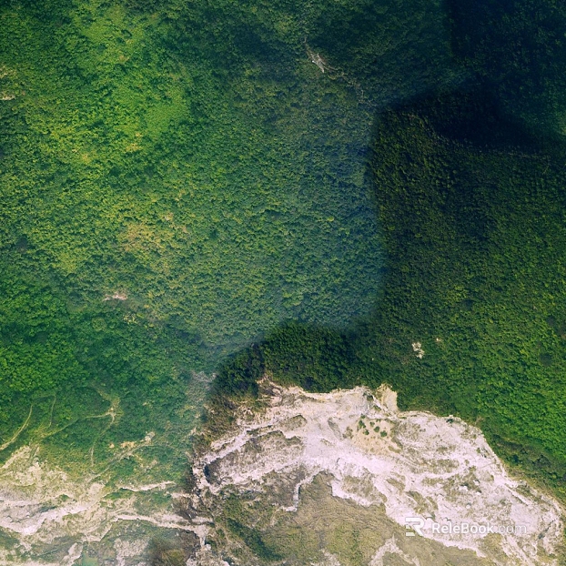Emerald Green Mountain Forest Wild Natural Exterior texture