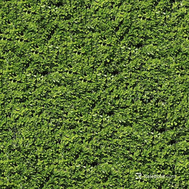 Plants texture