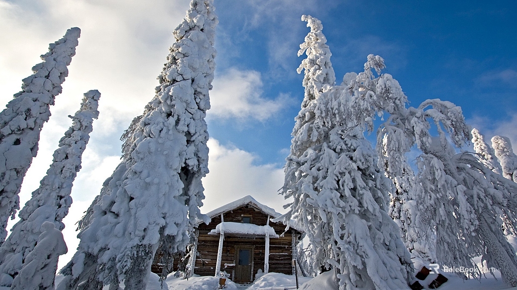 Snow texture