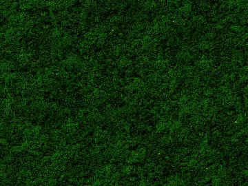 moss texture (ID:ffaag96905)