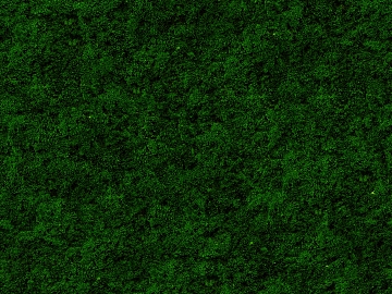 moss texture (ID:ffaag96905)