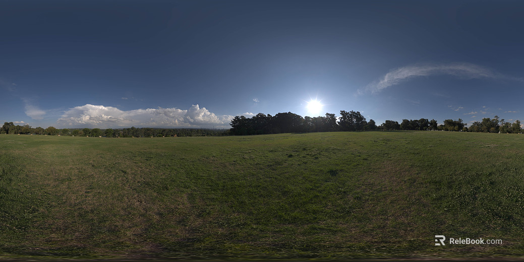 Outdoor Grass Day Sunny Day HDR texture