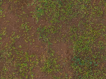 Grass soil on the ground texture (ID:ffach371161)