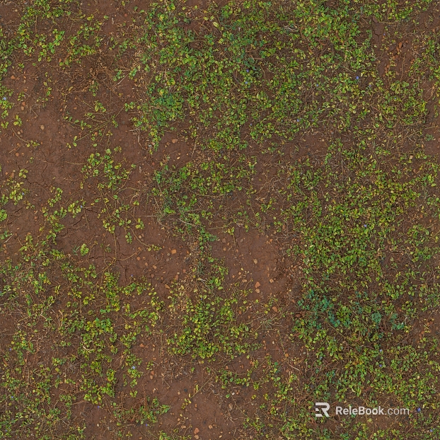 Grass soil on the ground texture