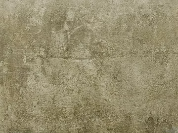 Cement wall moss white wall texture (ID:ffaag32051)