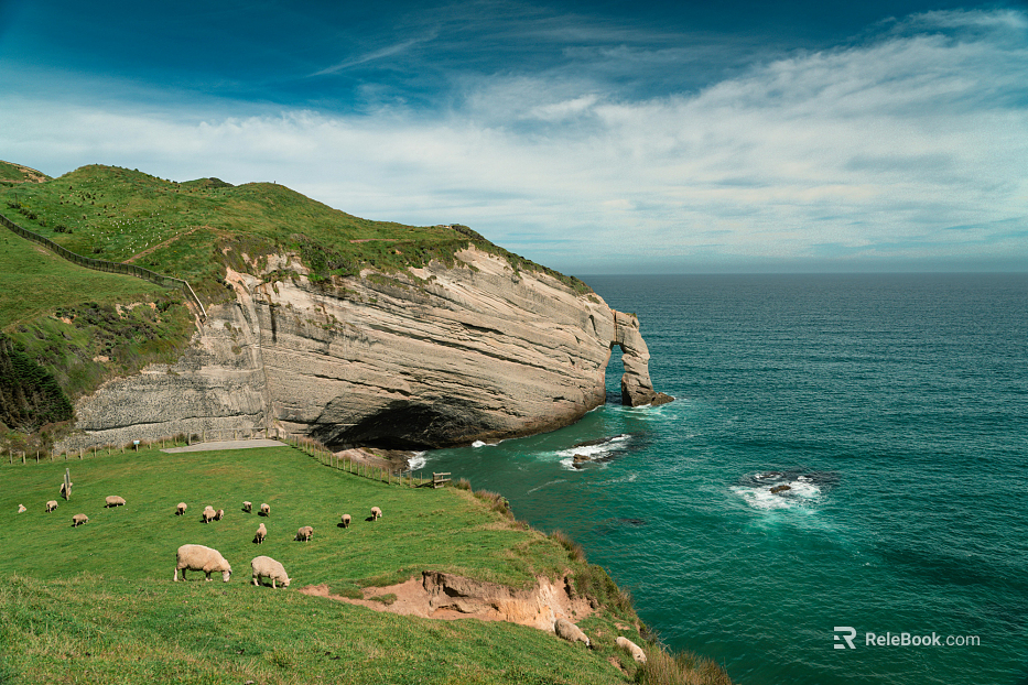 Wild Scenery texture