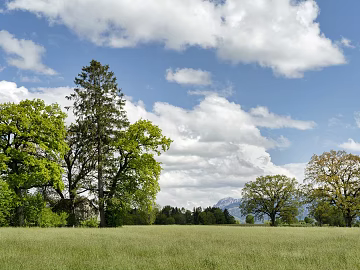 Modern Outdoor Landscape Blue Sky White Clouds Grassland Exterior texture (ID:ffach624980)