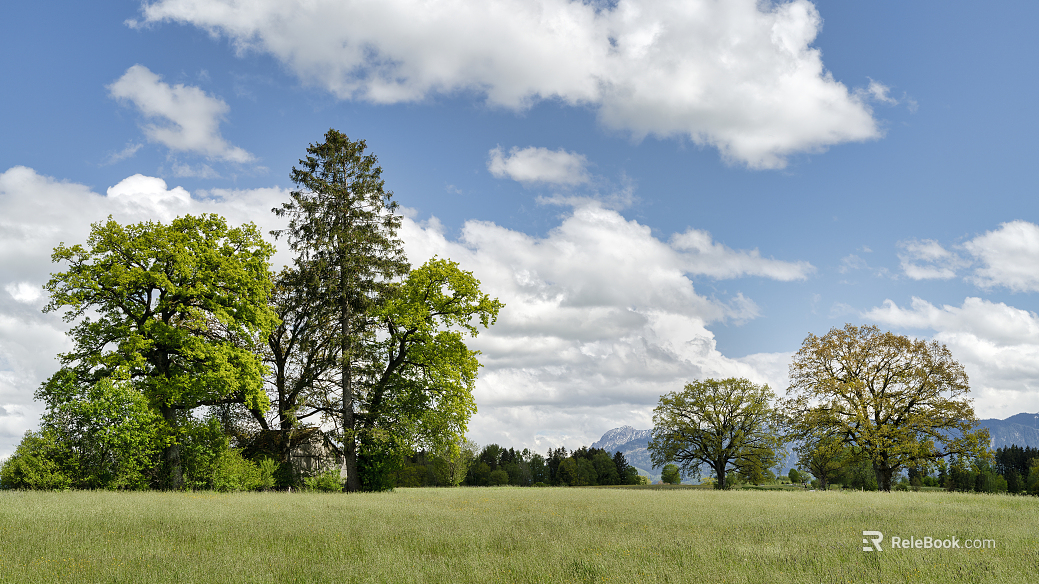 Modern Outdoor Landscape Blue Sky White Clouds Grassland Exterior texture