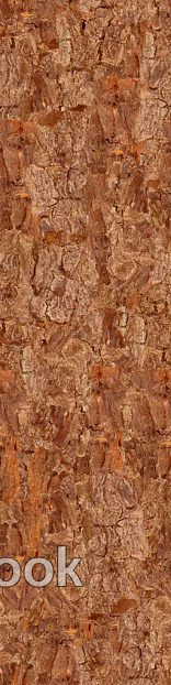 Rock texture