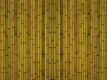 Bamboo texture (ID:ffaag99324)