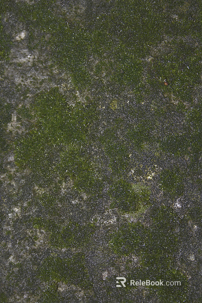 moss texture