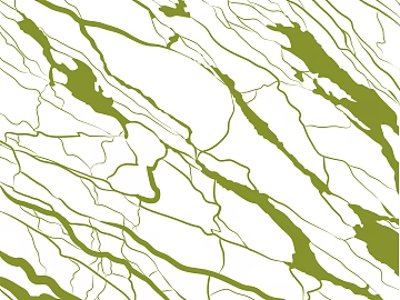 Grass green marble wall decoration texture (ID:ffaeh054526)