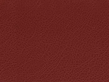 Coarse-grain leather texture (ID:ffabg62870)