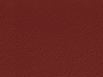 Coarse-grain leather texture (ID:ffabg62870)