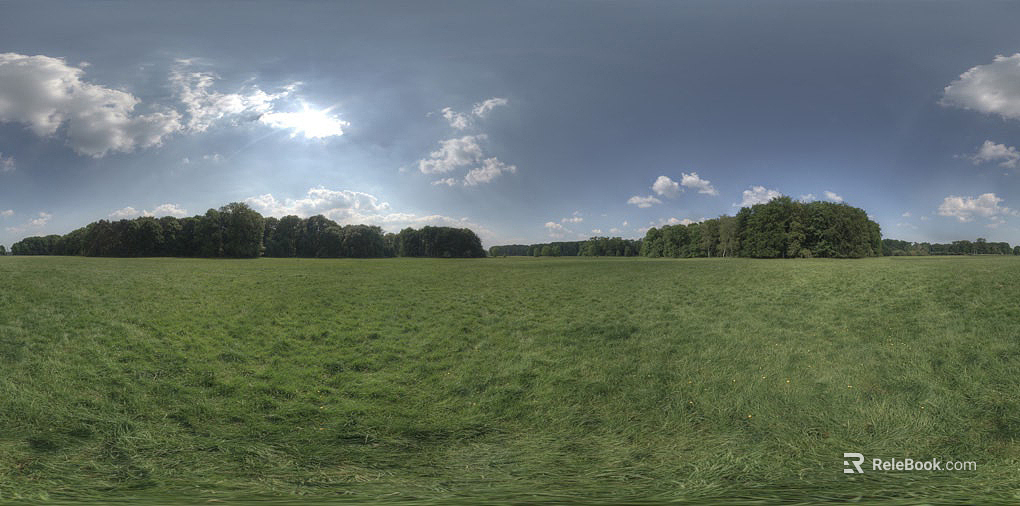 Wild Scenery texture