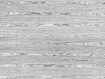 Black and white wood grain texture (ID:ffaeg33164)