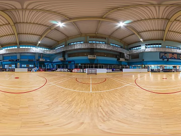 Basketball Hall texture (ID:ffach719053)