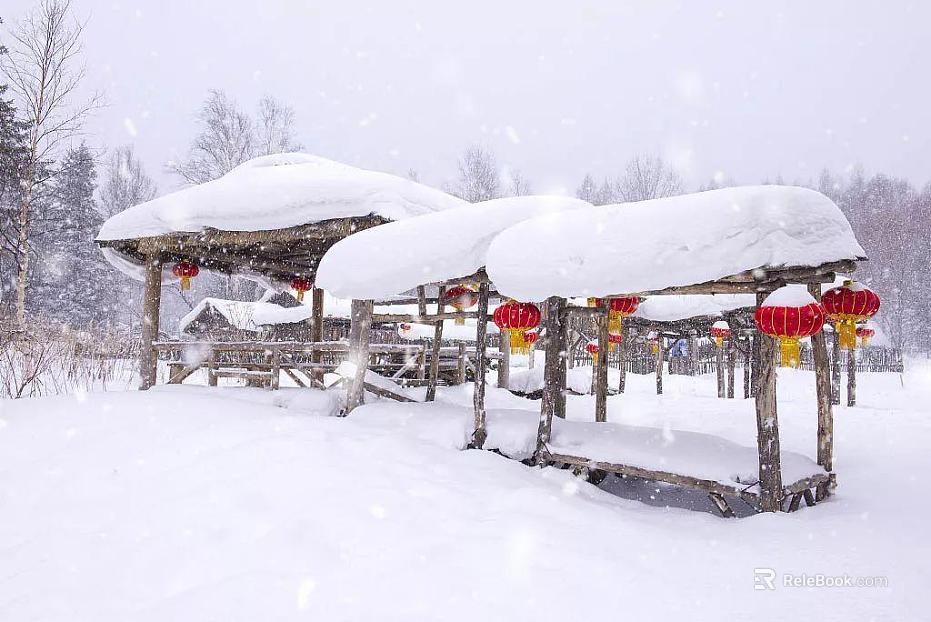 Snow texture