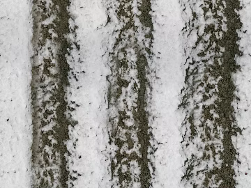 Ground-Snow texture (ID:ffhee488)
