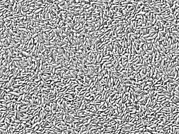 Black and White Bump texture (ID:ffadf3738)