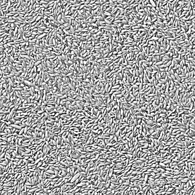 Black and White Bump texture